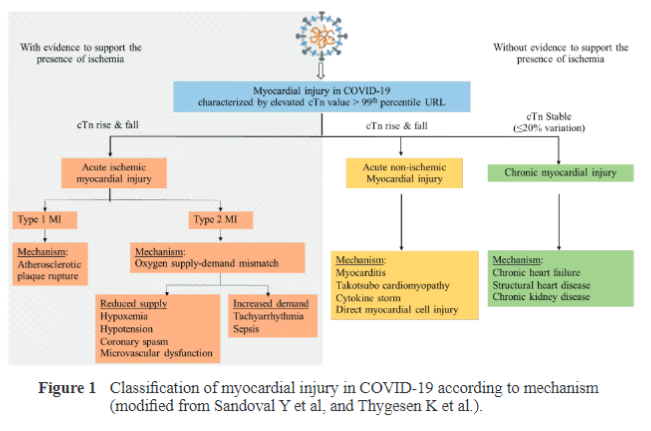Classification of myocardial injury in COVID-19 according to mechanism