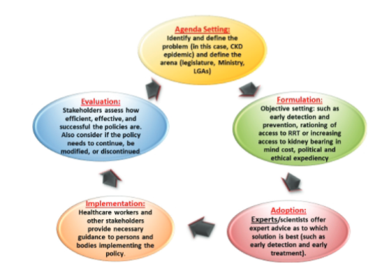 Policy cycle involving 5 stages of policy development. CKD, chronic kidney disease; KRT, kidney replacement therapy; LGA, local government area.